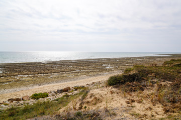Fototapeta na wymiar low tide Atlantic ocean littoral in Vendée France near Saint Vincent sur Jard