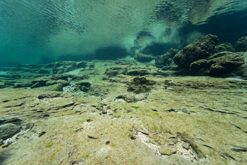Rocks underwater on riverbed with clear freshwater. Underwater landscape. Traun river. Freshwater world. Beautiful river habitat. Cold water.