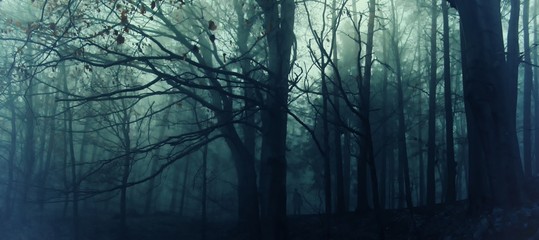 Dark creepy foggy beech forest, man in dark clothes surrounded by gloomy magical landscape. Late autumn/fall,november evening, mist. South Moravia, Eastern Europe. Panoramic composite image.  .