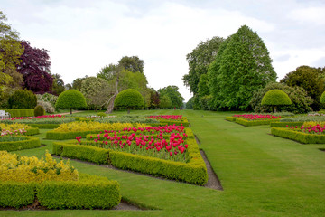 big garden in spring, red tulip flowers and trees