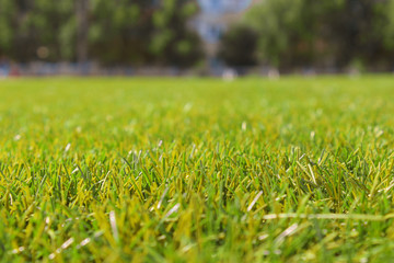 Artificial grass in the stadium. Close-up. Background. Scenery.