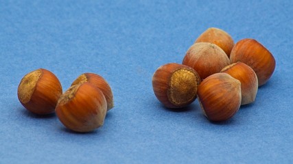 Heap of fresh hazelnuts on light blue background with soft defocus