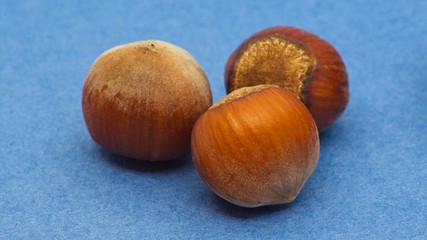 Obraz na płótnie Canvas Heap of fresh hazelnuts on light blue background with soft defocus