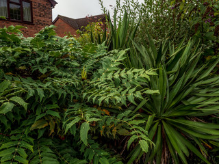Naklejka premium OLYMPUS DIGITAL CAMERA - GARDEN