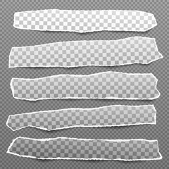 Pieces of torn, white squared realistic horizontal paper strips with soft shadow are on grey background. Vector illustration