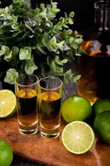Mexican Gold Tequila with lime and salt on black background with copyspace.