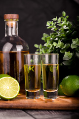 Mexican Gold Tequila with lime and salt on black background with copyspace.