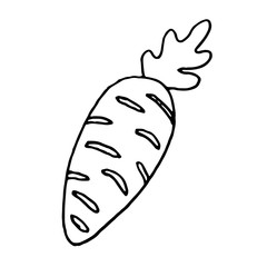 Carrot set black and white.Vegetable lettering and calligraphy phrase for invitation, greeting card, t-shirt, prints, social media, blogs and posters .Vector illustration.