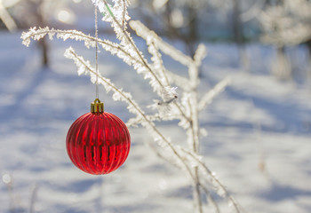 Frost-covered branches decorated with a Christmas red ball