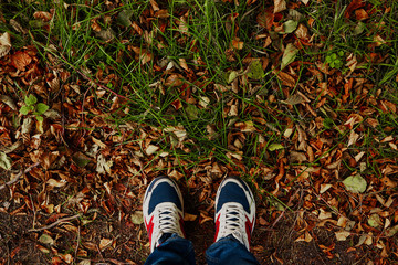 Legs on autumn background with copy space.