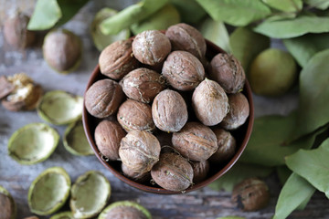 Freshly walnuts in a bowl. Harvest walnuts. Walnuts peeled from green shells. The leaves of the walnut tree.