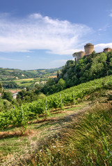Fototapeta na wymiar Castle and Tower in Brisighella - Italy