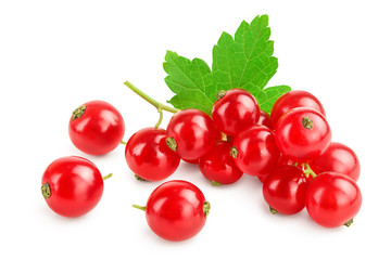 Red currant berries with leaf isolated on white background
