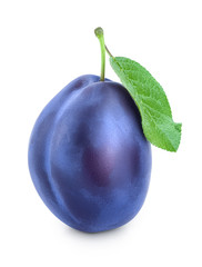 fresh plum with leaves isolated on white background
