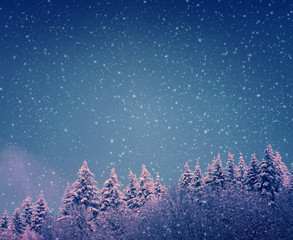 Snowfall in the winter forest . Christmas background .