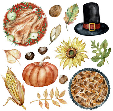 Watercolor clipart of Thanksgiving Day elements baked turkey, hat, nuts, sunflower, pumpkin, autumn leaves.