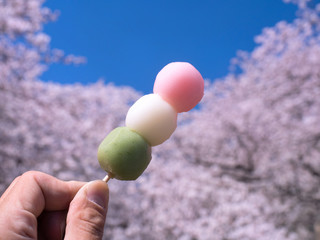 桜の花と団子