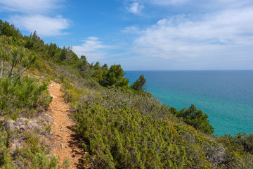 Fototapeta premium Küste, Klippen und Meer am Wanderweg „Rota Vicentina“ (Historischer Weg, Fischerweg) im Süden von Portugal 