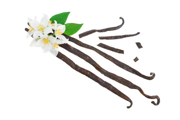 Vanilla sticks with flower and leaf isolated on white background. Top view. Flat lay
