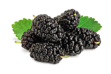 Mulberry with leaf isolated on white background