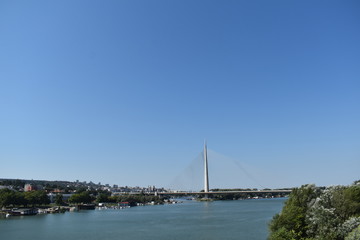 bridge over the river