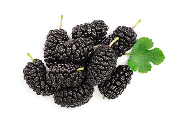 Mulberry with leaf isolated on white background.Top view. Flat lay