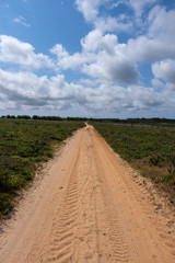 Küste, Klippen und Meer am Wanderweg „Rota Vicentina“ (Historischer Weg, Fischerweg) im Süden von Portugal  