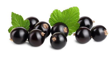 black currant with leaf isolated on white background