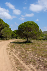 Landschaftan der „Rota Vicentina“ (Historischer Weg, Fischerweg) im Süden von Portugal 