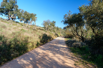 Landschaftan der „Rota Vicentina“ (Historischer Weg, Fischerweg) im Süden von Portugal 