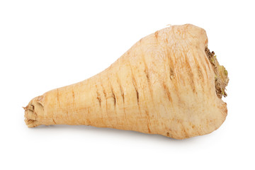 Parsnip root isolated on white background closeup