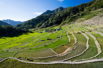 Rizi&egrave;res de Batad aux Philippines