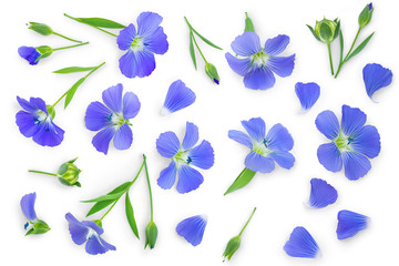 Obraz na płótnie Canvas flax flowers or Linum usitatissimum on a white background with copy space for your text. Top view, flat lay