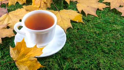 Mug with tea on the grass with autumn leaves