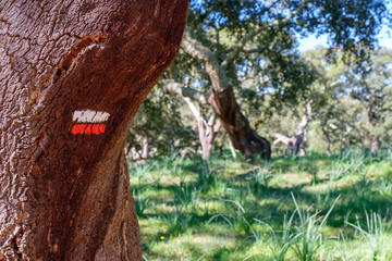 Wegweiser und Wegzeichen am Fernwanderweg „Rota Vicentina“ (Historischer Weg, Fischerweg) im Süden von Portugal 