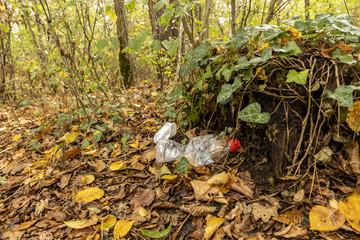 Bouteille en plastique jeté dans une forêt