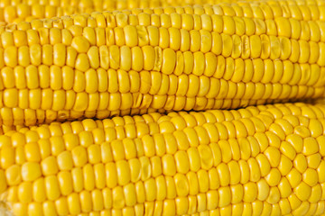 a group of fresh vegetables in a basket, there are tomatoes, zucchini, eggplant, yellow and red bean, cucumber and corn