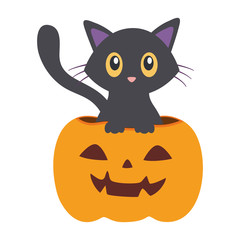 trick or treat - happy halloween