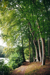 Herbstlicher Waldspaziergang in Niedersachsen
