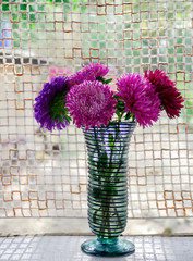garden flower flowers, asters in a vase