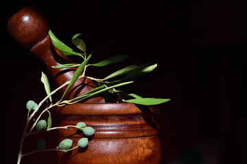 A mortar with wooden pestle against a tiled dark rustic background and an olive branch with green...