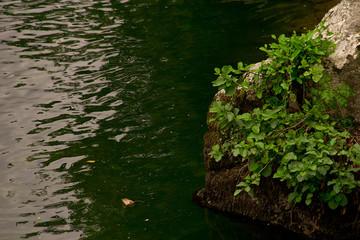 Sella river on Asturias under the bridge of Cangas de Onis