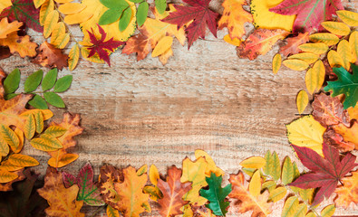 Top view frame filled with colorful autumn leaves 