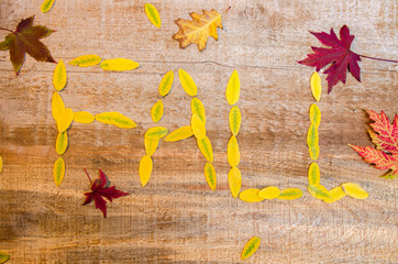 Word fall written in leaves, seasonal background 