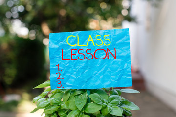 Conceptual hand writing showing Class Lesson. Concept meaning subject session scheduled for a...
