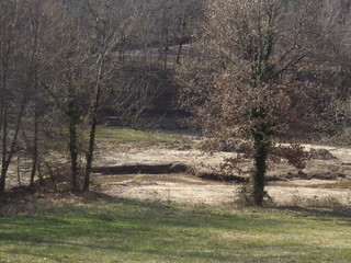 Lac Nabeillou - Clairi&egrave;re 2