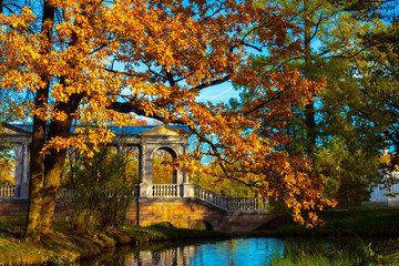 Russia.The city of Pushkin.Saint Petersburg. Golden autumn in Tsarskoye Selo.Excursions in the...