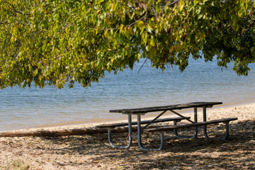 picnic tables under the trees on the beach at point lookout state park in saint marys county southern maryland