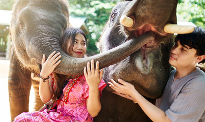 thai tourist couple interacting with two elephants at sanctuary