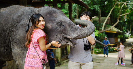 Naklejka premium thai tourist couple posing with elephant at sanctuary